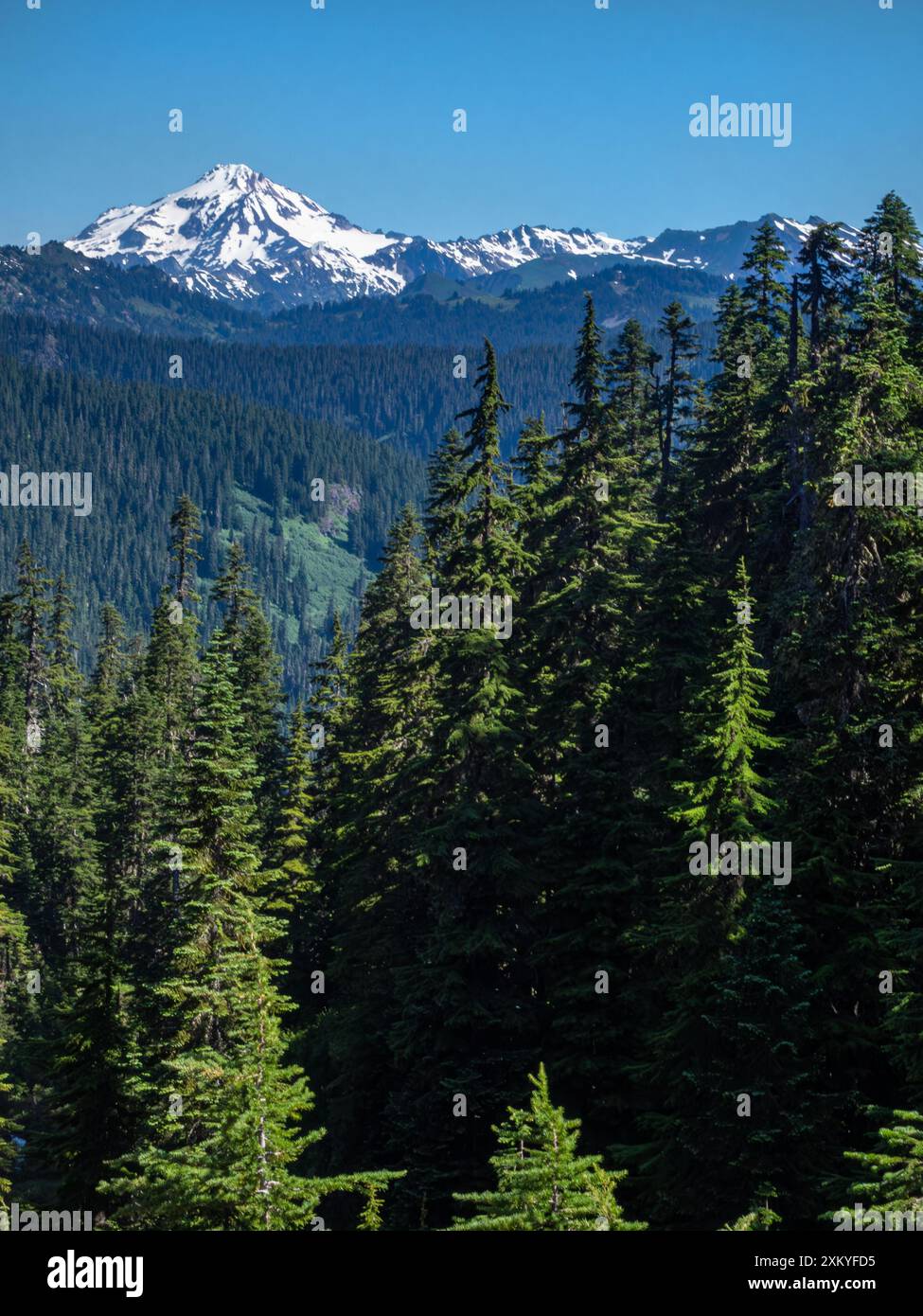 WA25519-00...WASHINGTON - Glacier Peak vom Pacific Crest Trail in der Henry M. Jackson Wilderness. Stockfoto WA25519-00...WASHINGTON - Glacier Peak vom Pacific Crest Trail in der Henry M. Jackson Wilderness. Stockfoto