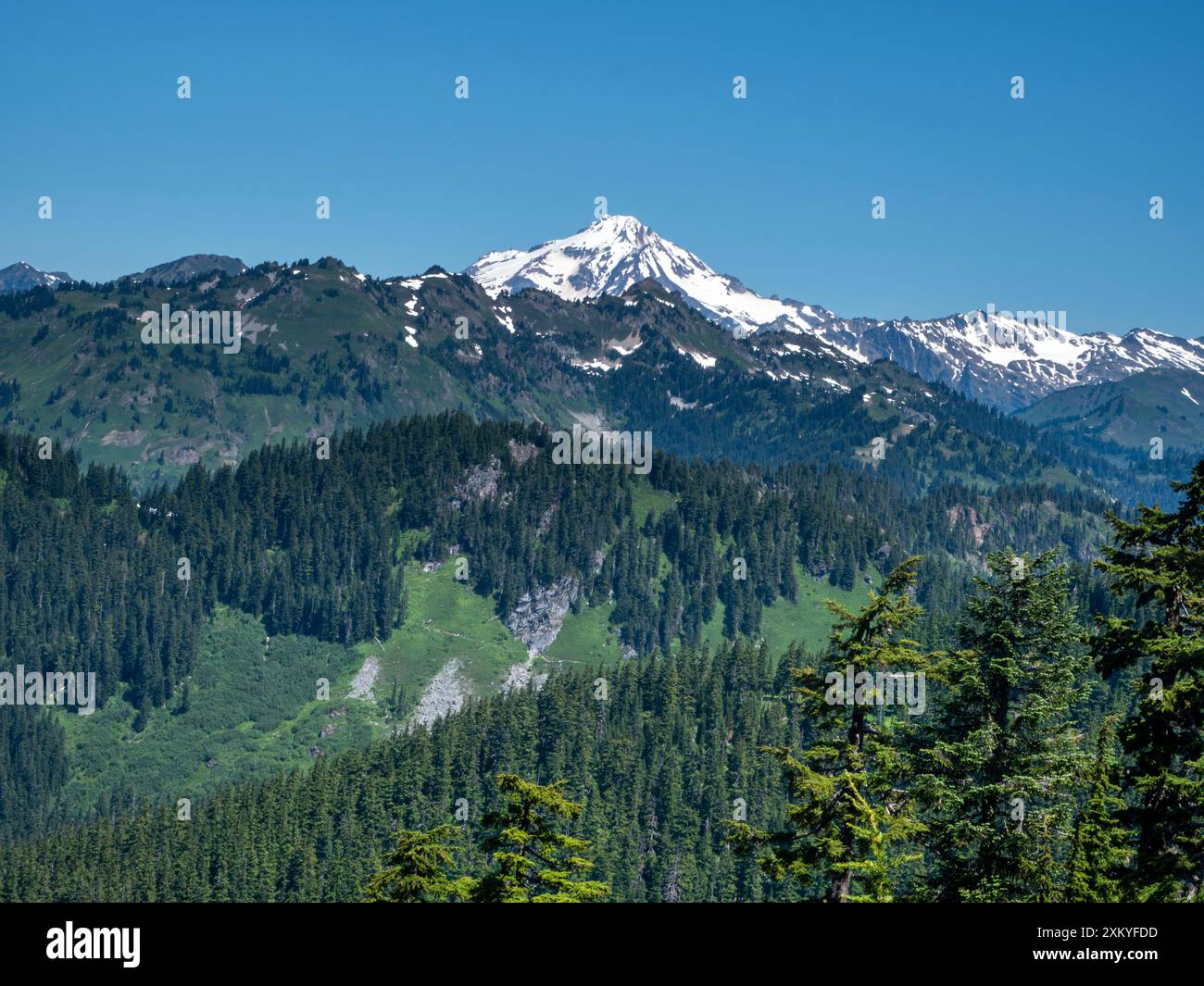 WA25520-00...WASHINGTON - Glacier Peak vom Pacific Crest Trail in der Henry M. Jackson Wilderness., südlich des Lake Sally Ann. Stockfoto WA25520-00...WASHINGTON - Glacier Peak vom Pacific Crest Trail in der Henry M. Jackson Wilderness., südlich des Lake Sally Ann. Stockfoto