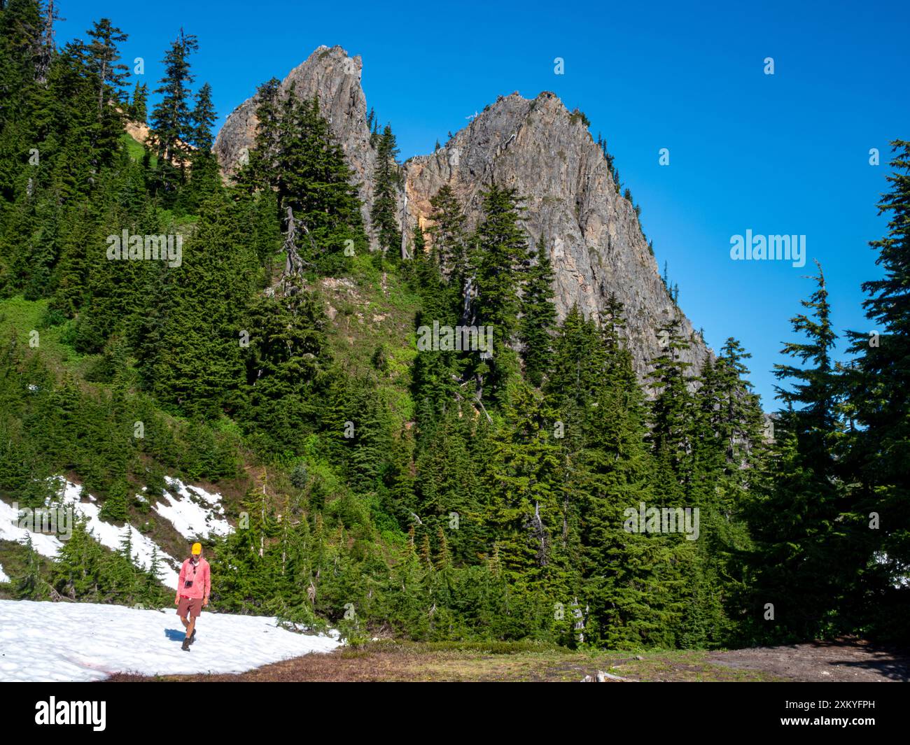 WA25525-00...WASHINGTON - Wandern nördlich des Lake Sally Ann auf dem Pacific Crest Trail in der Henry M Jackson Wilderness. Stockfoto WA25525-00...WASHINGTON - Wandern nördlich des Lake Sally Ann auf dem Pacific Crest Trail in der Henry M Jackson Wilderness. Stockfoto