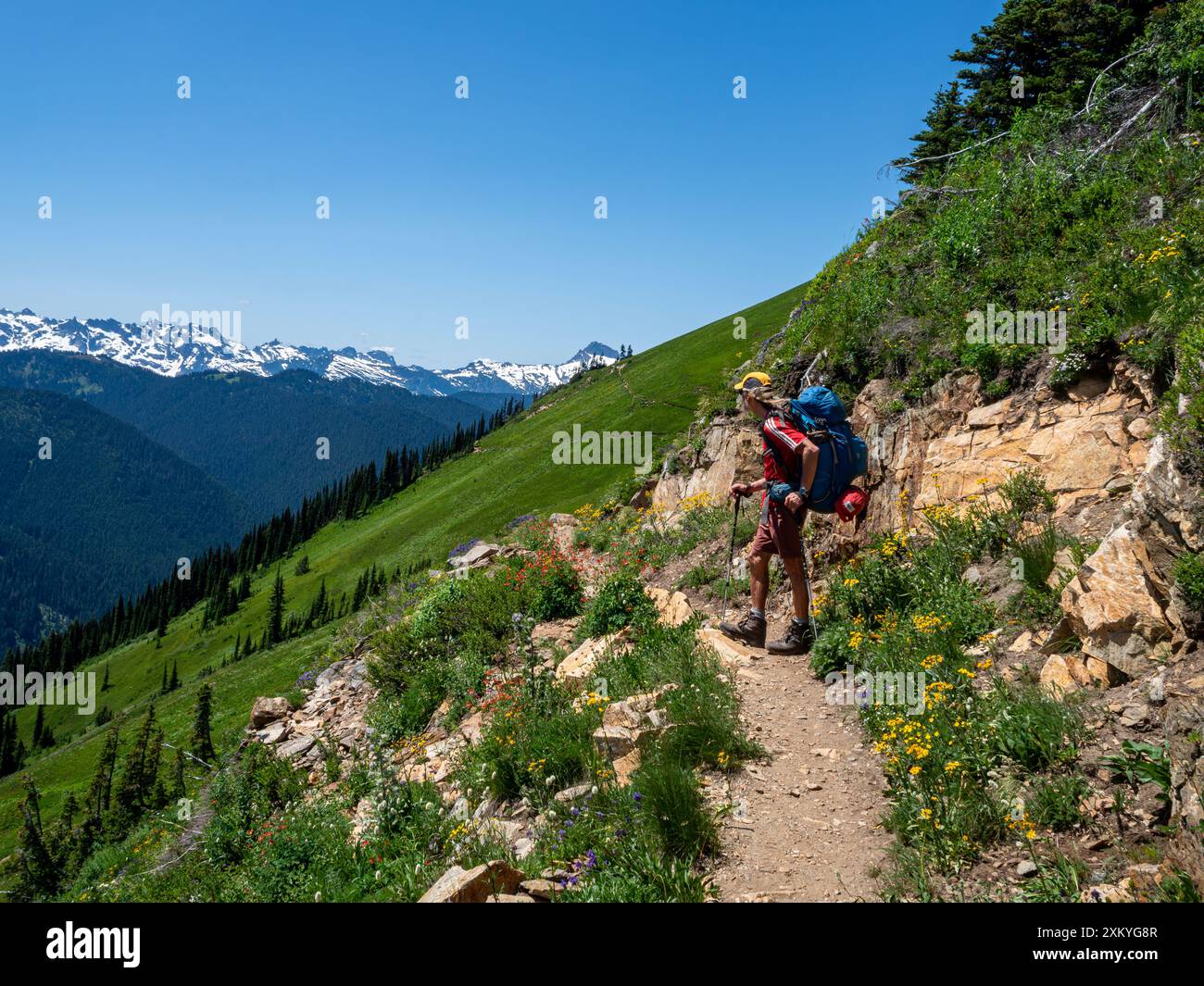 WA25531-00...WASHINGTON - Wanderer auf dem PCT zwischen White Pass und Red Pass in der Glacier Peak Wilderness. Stockfoto