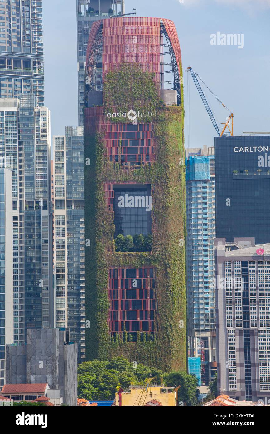 Die Fassade des Oasis Hotels ist mit grünen Weinstöcken gefüllt, was es einzigartig im Rest des Hotels macht. Tanjong Pagar, Singapur. Stockfoto