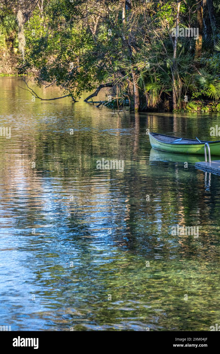 Panoramablick im Wekiwa Springs State Park in Apopka, Florida, in der Nähe von Orlando. (USA) Stockfoto