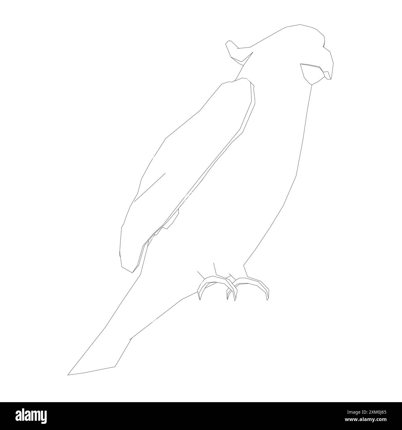 Schwarzweiß-Ausmalseite. Tiere Papagei Symbol. Abbildung des Vektormaterials. Vektorsymbol für Papageienaras. Illustration des wilden Vogels. Stock Vektor