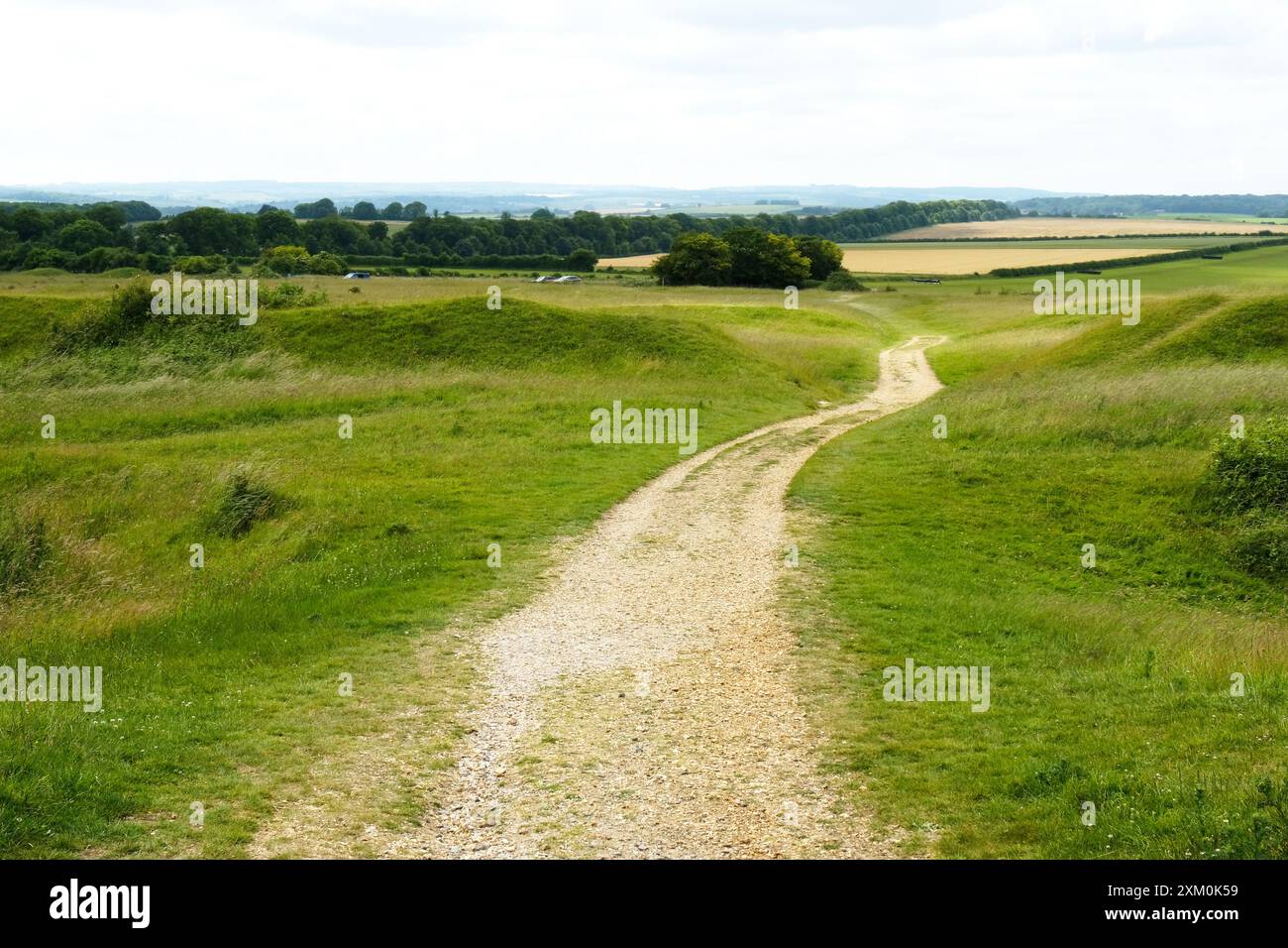 Die Strecke führt durch das eisenzeitliche Hügellfort bei Badbury Rings, Dorset - John Gollop Stockfoto