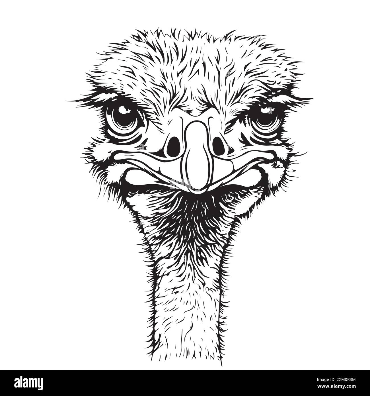 Skizze eines Straußes. Handgezeichnete Illustration in Vektor konvertiert Stock Vektor