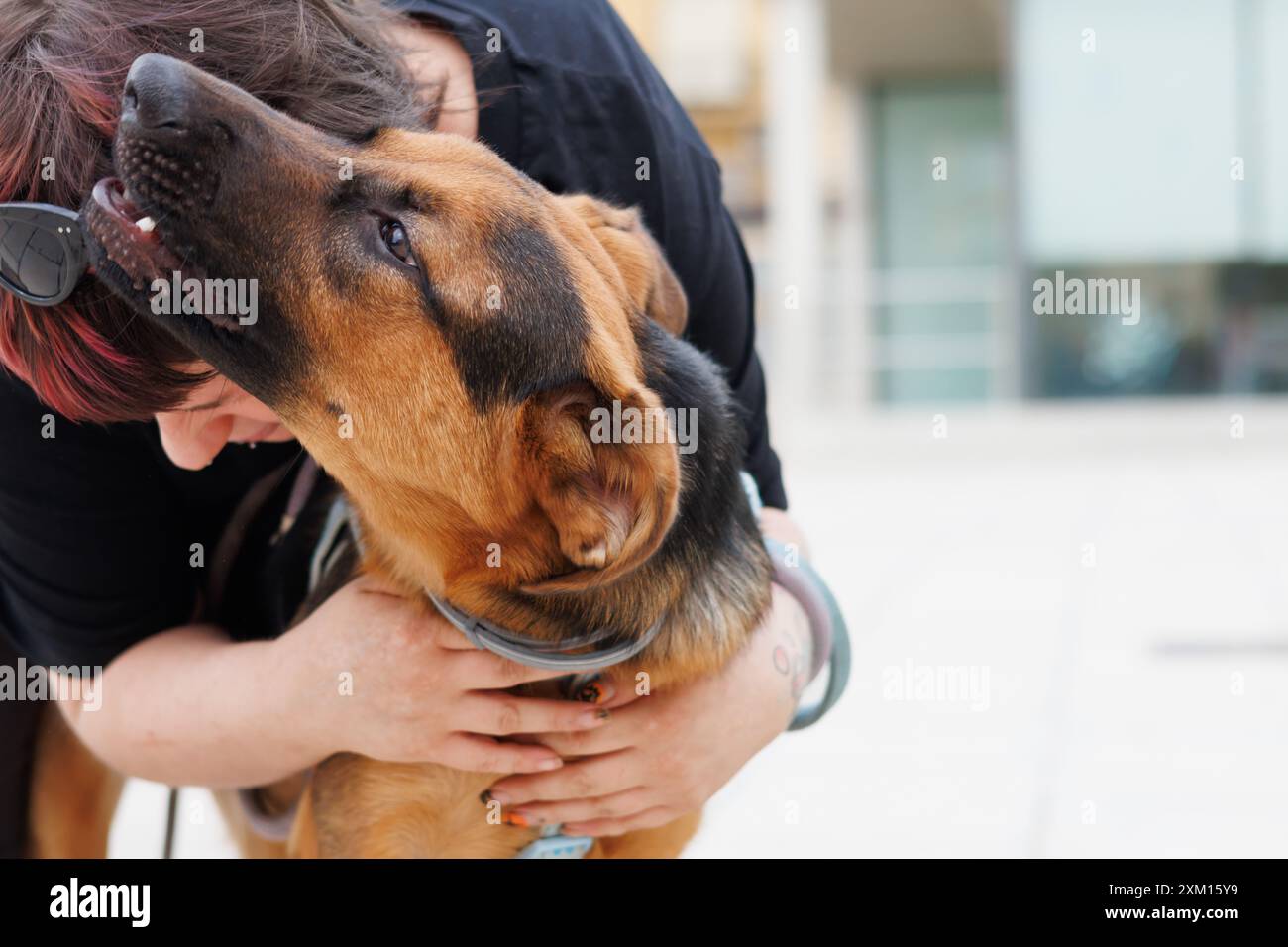 Affektive Umarmung zwischen Mensch und Hund, Alcoy, Spanien Stockfoto