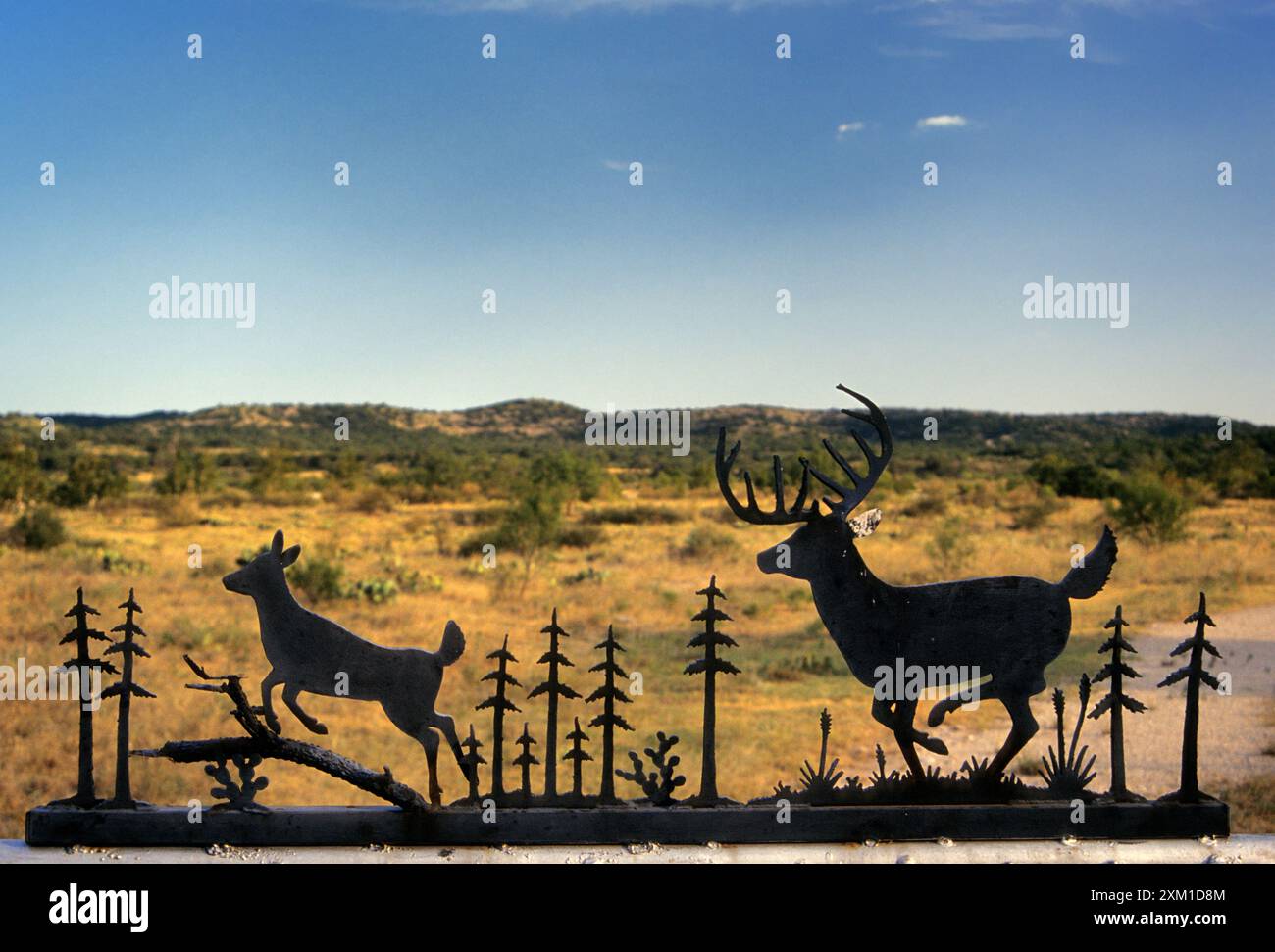 Schmiedeeisernes Schild am Ranch-Eingang in der Nähe von Bracketville am F.M. 334 Highway am Edwards Plateau in Kinney County, Texas, USA Stockfoto