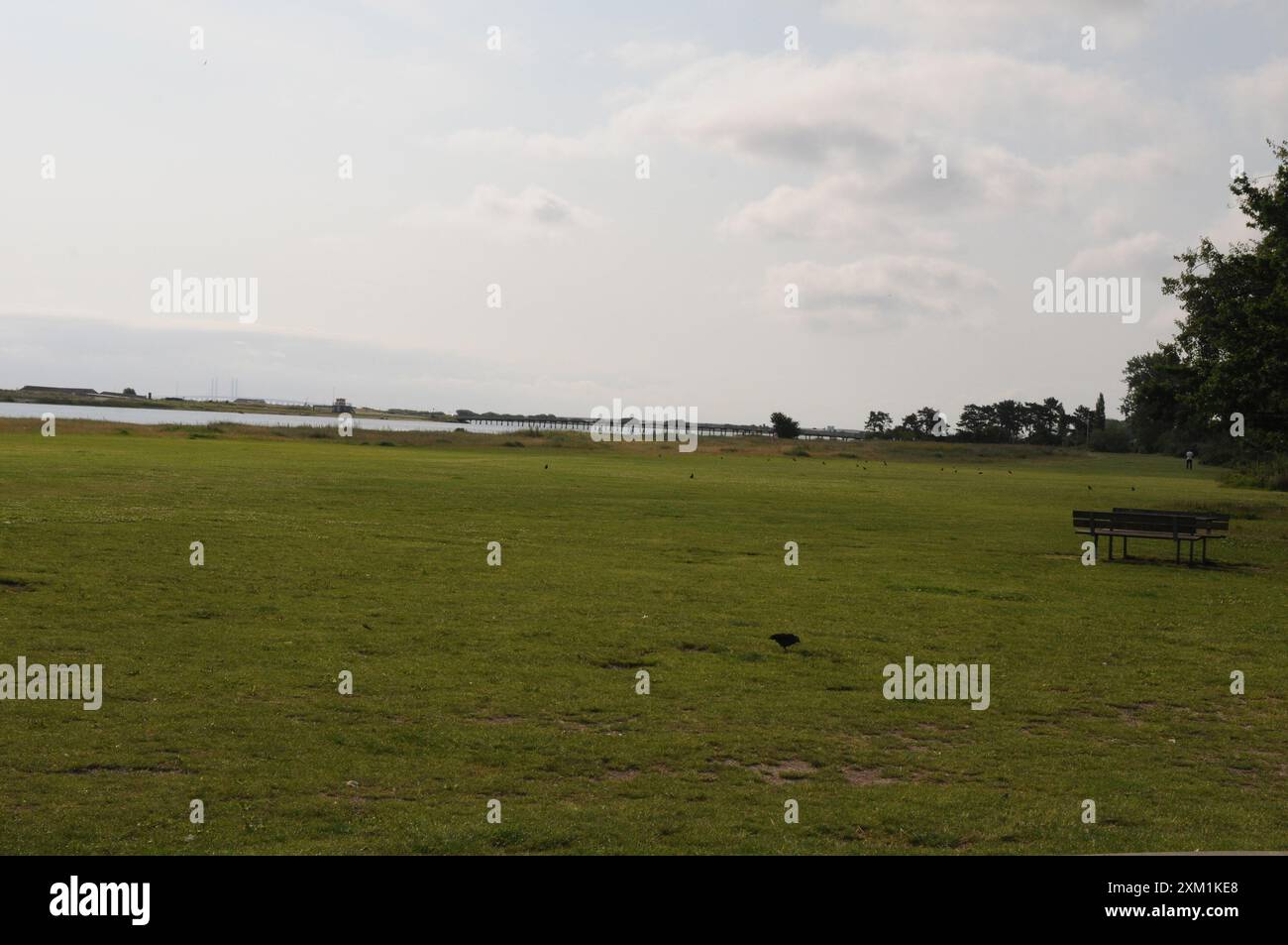 Kopenhagen/Dänemark/24. Juli 2024/ Amager Beach-Anzeige, auch amager Strand genannt, auf der Insel amager in der dänischen Hauptstadt Kopenhagen. (Foto. Francis Joseph Dean/Dean Pictures) (nicht für kommerzielle Zwecke) Stockfoto