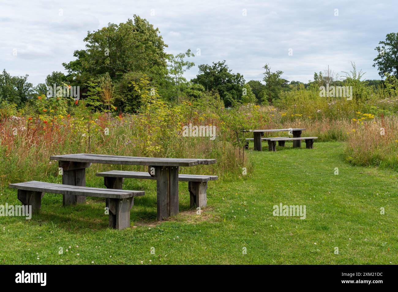 Knowle Park, ein neuer Country Park in Cranleigh, Surrey, England, Großbritannien Stockfoto