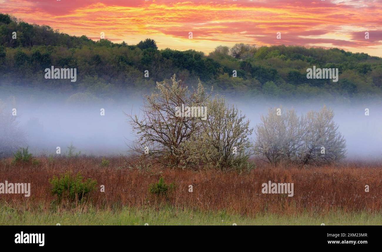 Morgenlandschaft mit Nebel über Wiese in Steppe Stockfoto