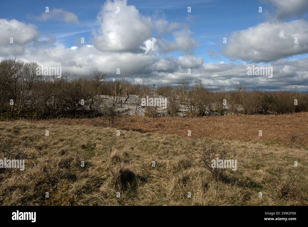 Das Gipfelplateau Hutton Roof Crags bei Burton in Kendal Westmorland und Furness England Stockfoto