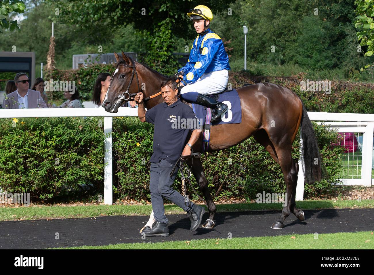 Windsor, Berkshire, Großbritannien. Juli 2024. Horse Ridgeway Redwing wurde von Jockey George Bass im Parade Ring geritten, bevor er in den Restricted Novice Stakes der EBF Fillies (Klasse 5) (für Pferde in den Bands C und D) (EBF Restricted Race Qualifier) auf der Royal Windsor Racecourse in Windsor, Berkshire, fuhr. Besitzer West Iisley Racing, Trainer Denis Coakley, West IIsley, Züchter Sun Bloodstock SARL, Sponsor Denis Coakley Racing. Kredit: Maureen McLean/Alamy Stockfoto