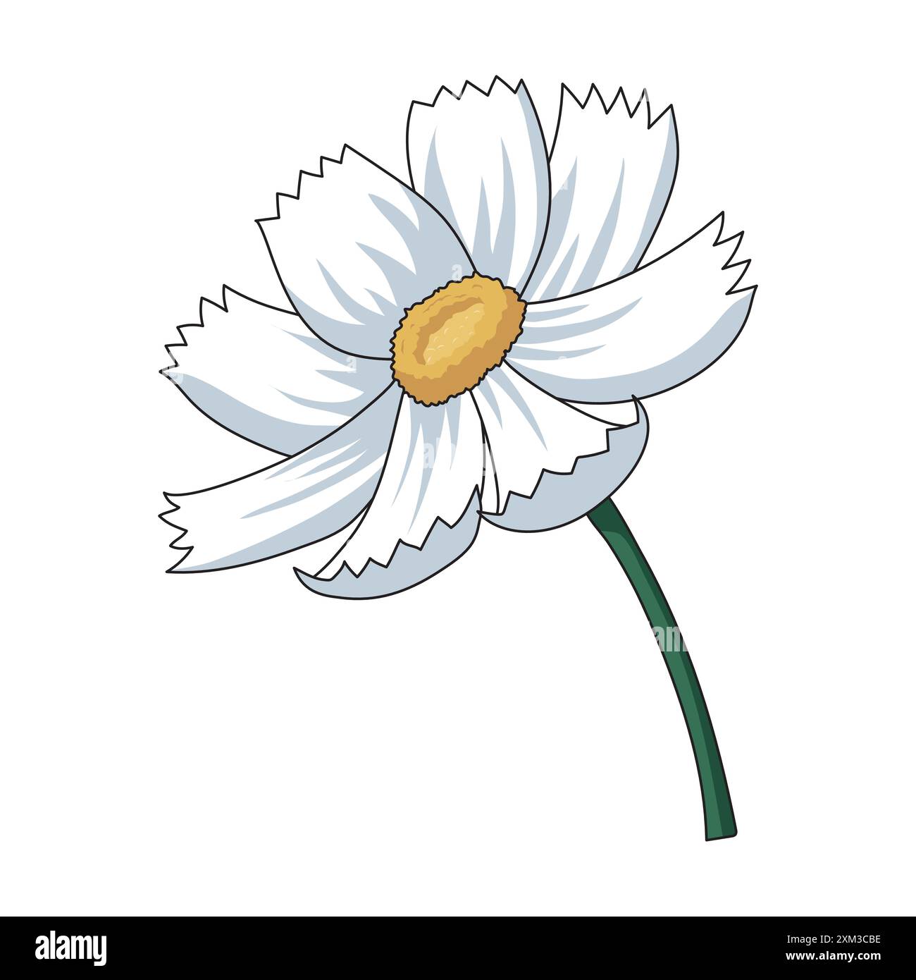 Illustration einer einzigen Kosmosblume mit kleinen gelben Staubblättern und mehreren Schichten weißer Blätter Stock Vektor