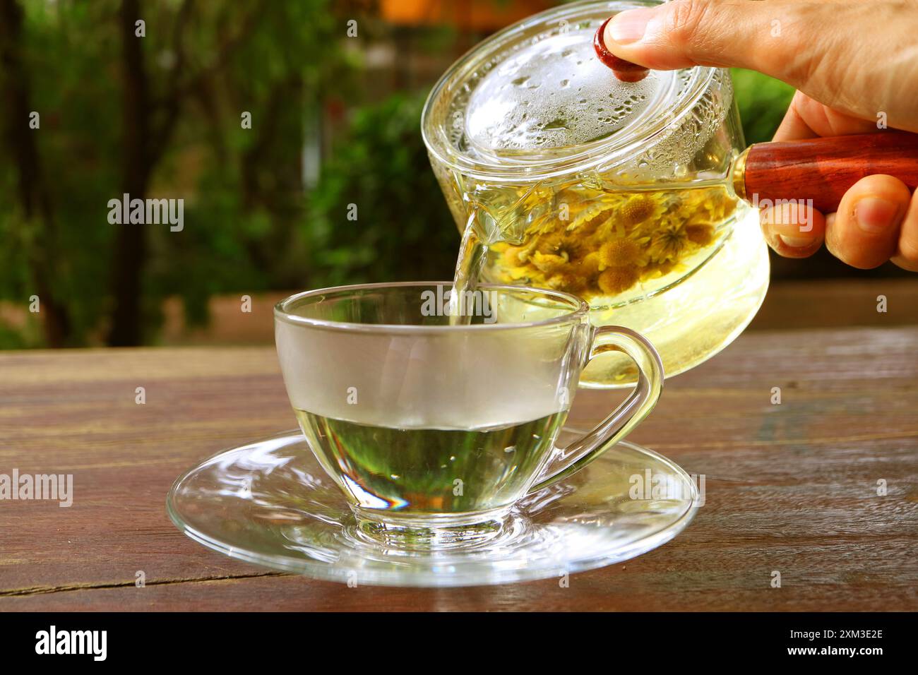 Heißer Chrysanthementee wird auf dem Gartentisch serviert Stockfoto
