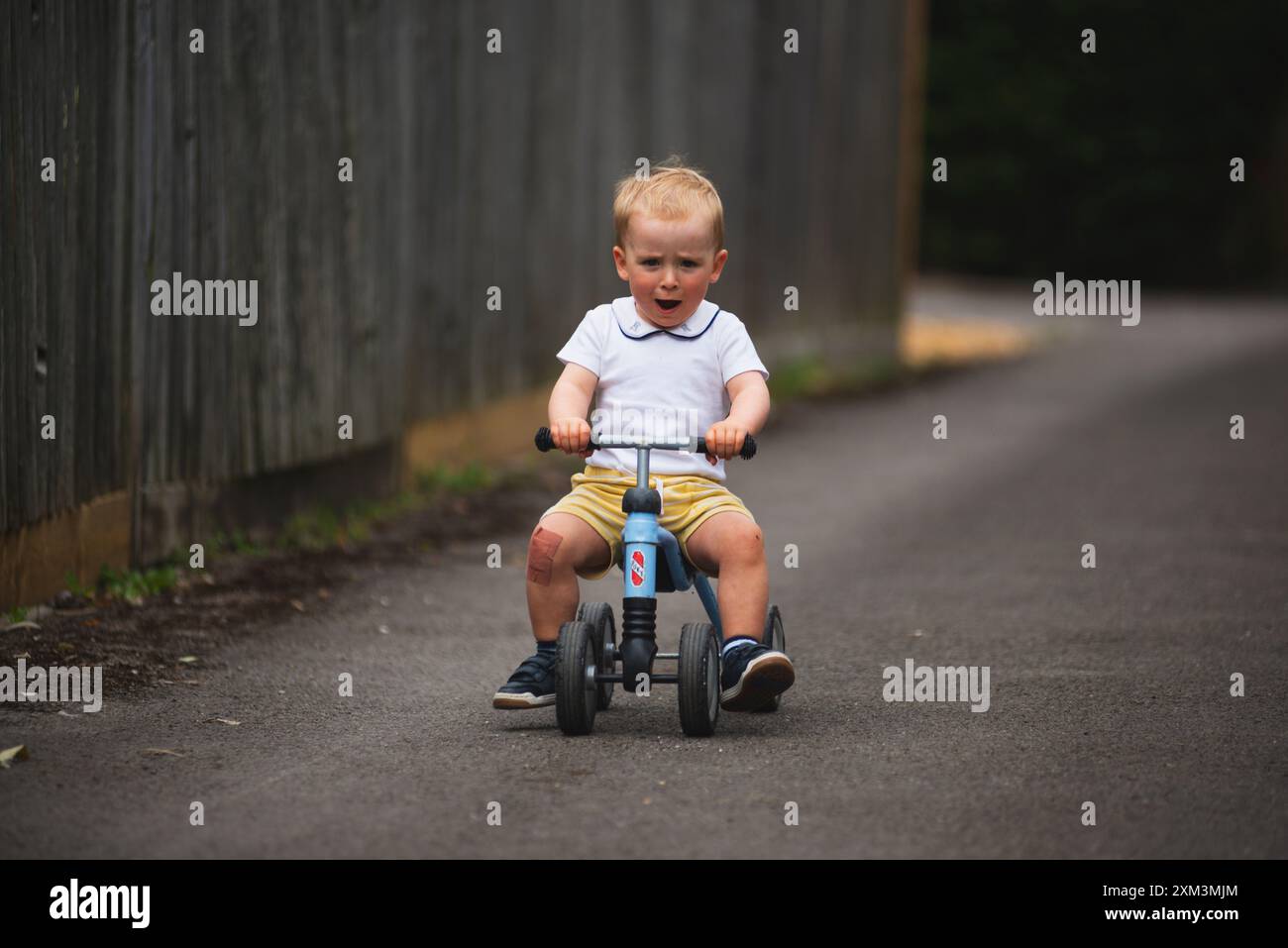 Kleines Kind, Kleinkind, Junge, fahrend auf einem Dreirad und schauend auf der Straße Stockfoto