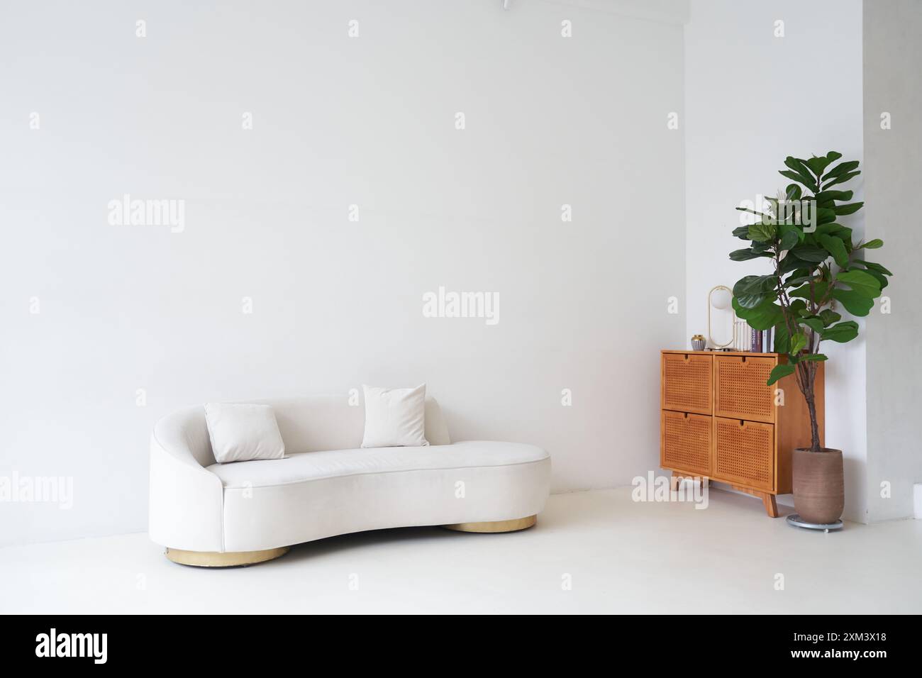 Das Innere ist hell mit einem weißen Ledersofa. Ficus elastica in einem Topf mit einem Platz zum Kopieren. Moderne Innenausstattung. Hochwertige Fotos Stockfoto