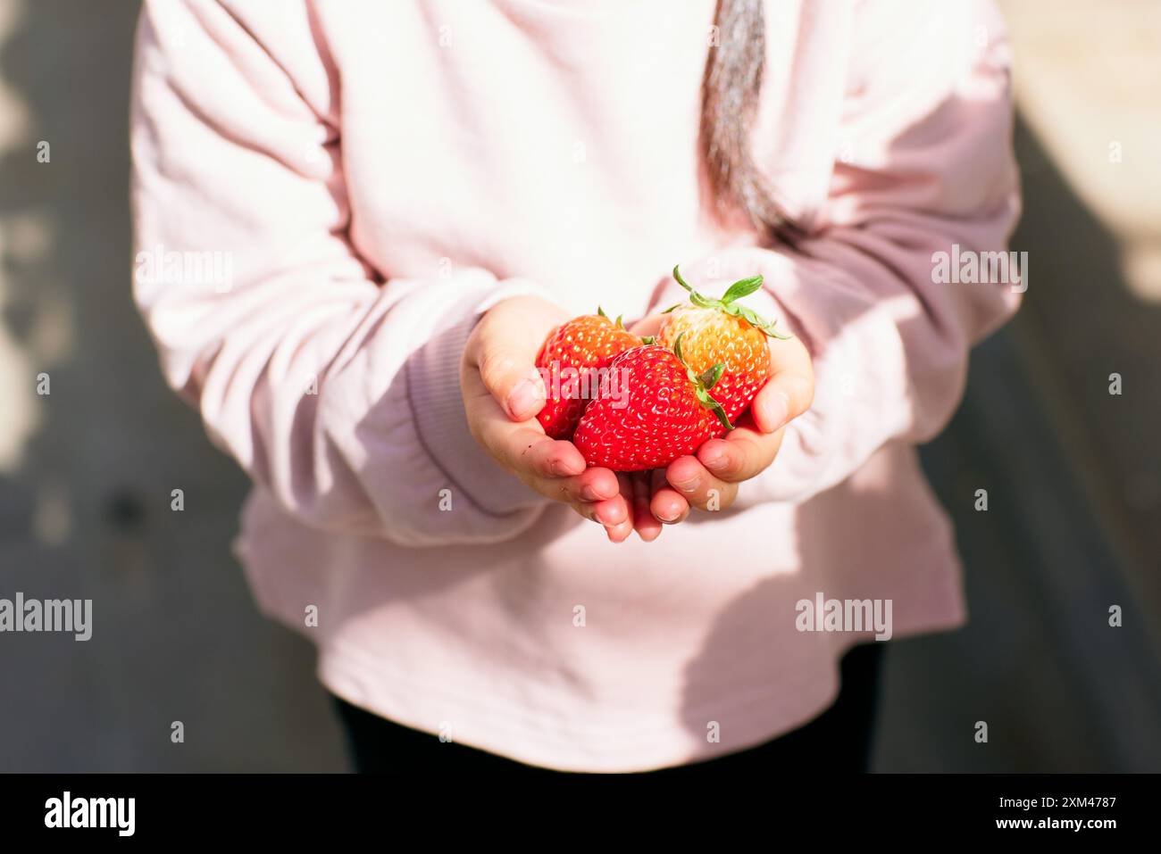 Ein junges asiatisches Mädchen, das Erdbeeren hält Stockfoto