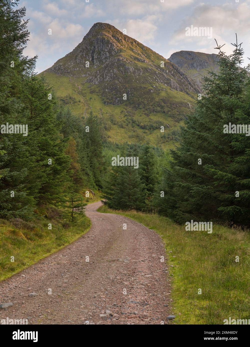 Waldspaziergang in Glenachulish, Argyll, Schottland Stockfoto