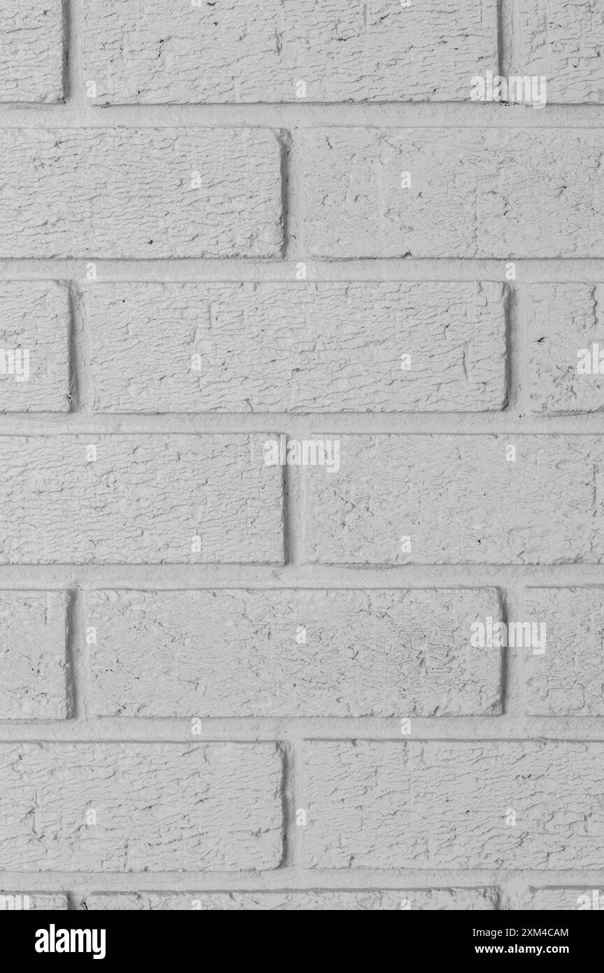 Gemalter grauer Hintergrund für die Innenwand. Modernes Innendesign-Konzept. Stockfoto