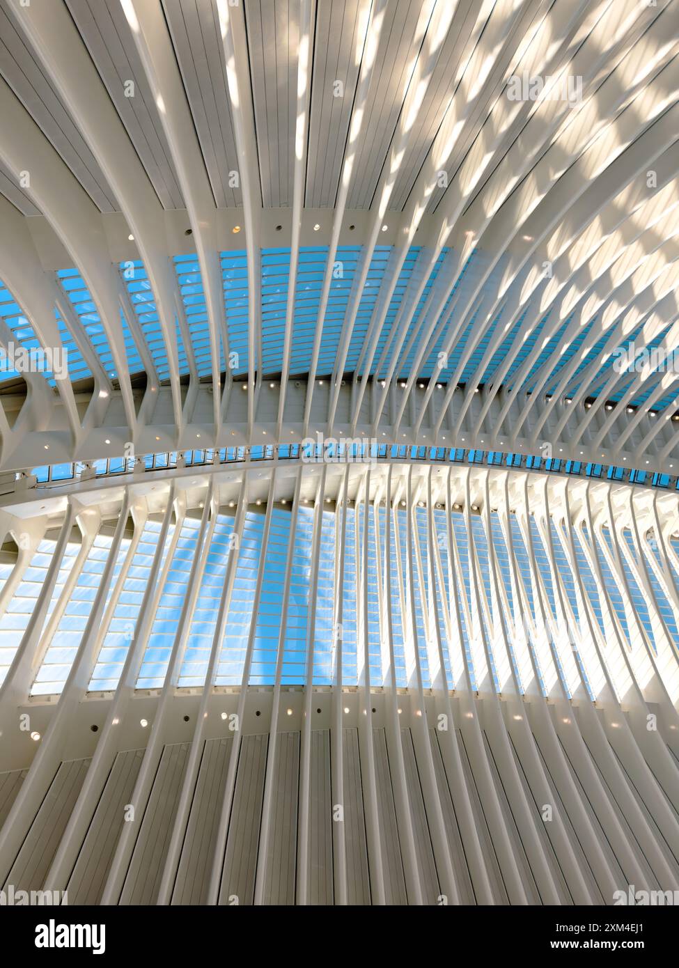 Detaillierte Ansicht eines modernen architektonischen Interieurs mit geschwungenen Elementen und sonnendurchfluteten Mustern, die innovatives Design und urbane Raffinesse betonen. Stockfoto