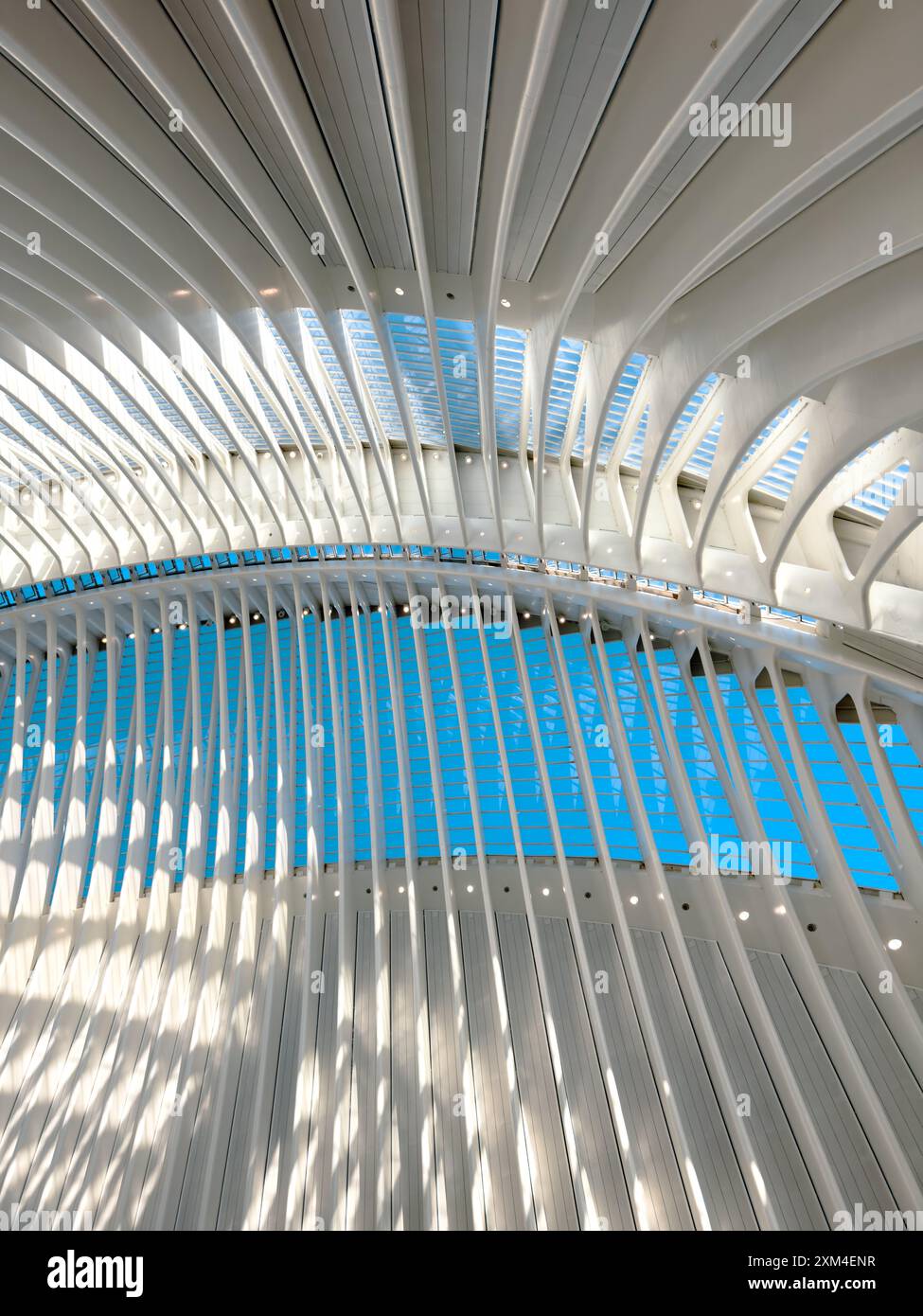 Innenraum eines modernen Gebäudes mit geschwungenen Elementen und sonnendurchfluteten Mustern, die das Wesen von innovativem architektonischem Design und urbaner Raffinesse einfangen. Stockfoto