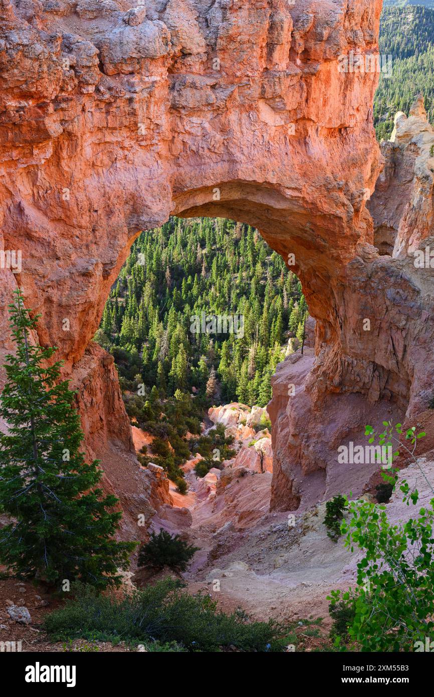 Blick durch die farbenfrohe Natural Bridge im Bryce Canyon National Park Stockfoto