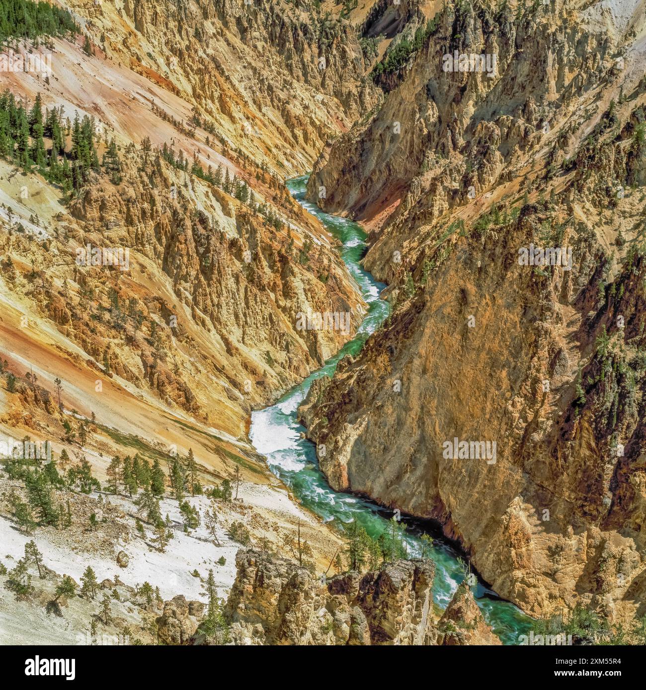 Grand Canyon des Yellowstone River im Yellowstone-Nationalpark, wyoming Stockfoto