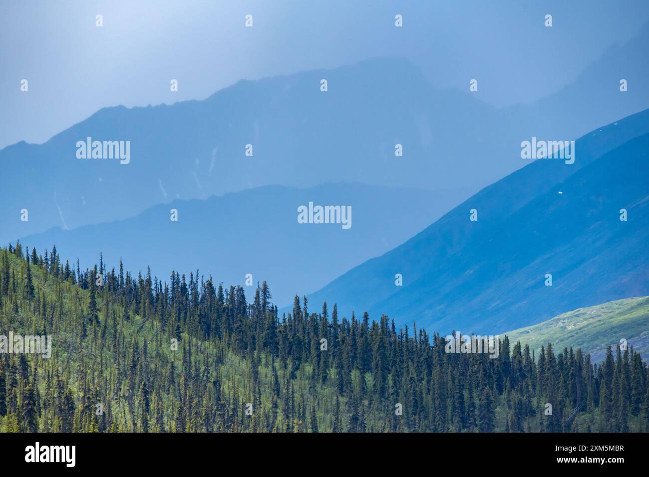 Spektakulärer Tombstone Territorial Park im Norden Kanadas, Yukon Territory während der Sommerzeit. Stockfoto