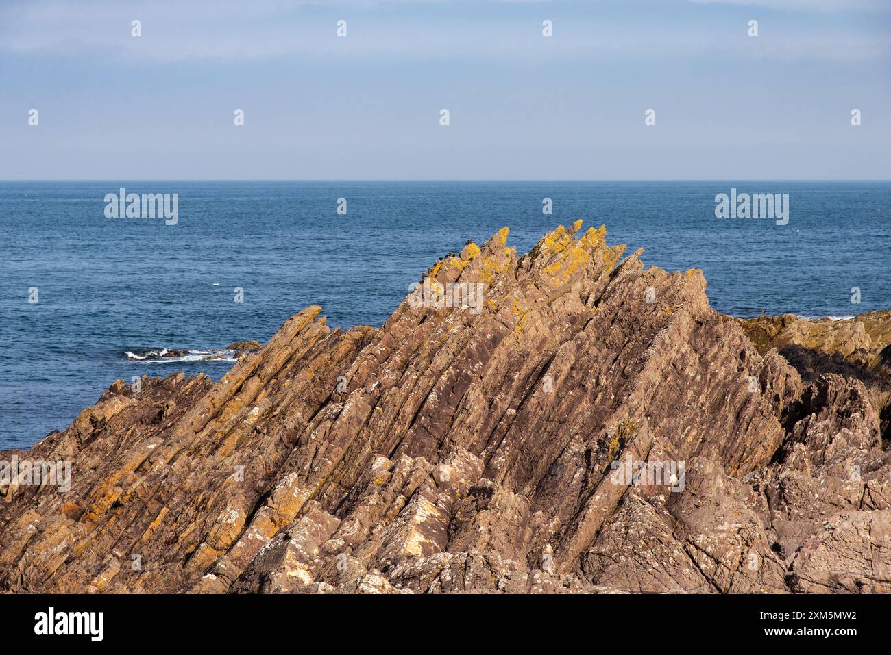 Gesteinsschichtung und Nordsee an der Ostküste Schottlands in Eyemouth. Stockfoto