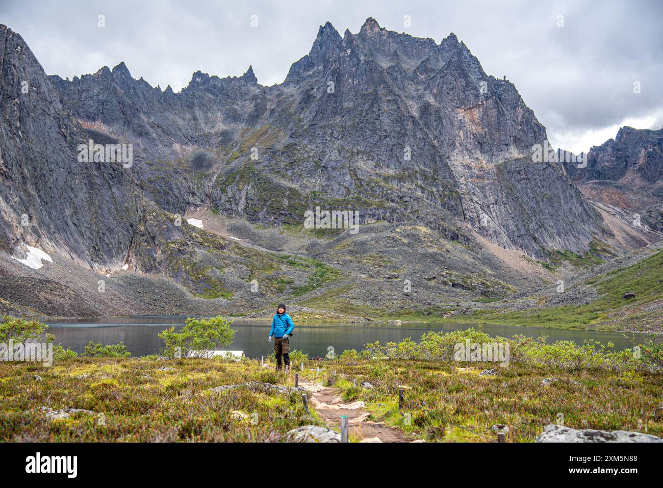 Mann in blauer Jacke wandert im Sommer durch den Tombstone Territorial Park mit hoch aufragenden Berggipfeln dahinter im Yukon Territory im arktischen Kanada Stockfoto