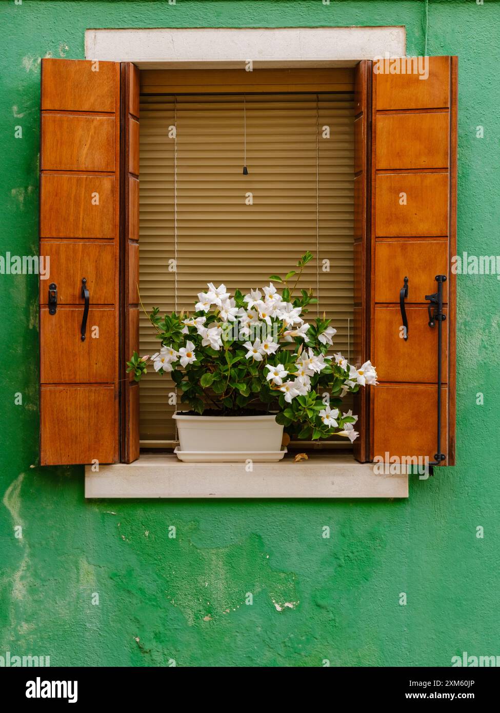 Das rustikale grüne Fenster bietet einen zeitlosen Charme und verleiht Buranos farbenfrohen Straßen einen Hauch von klassischem Charme Stockfoto