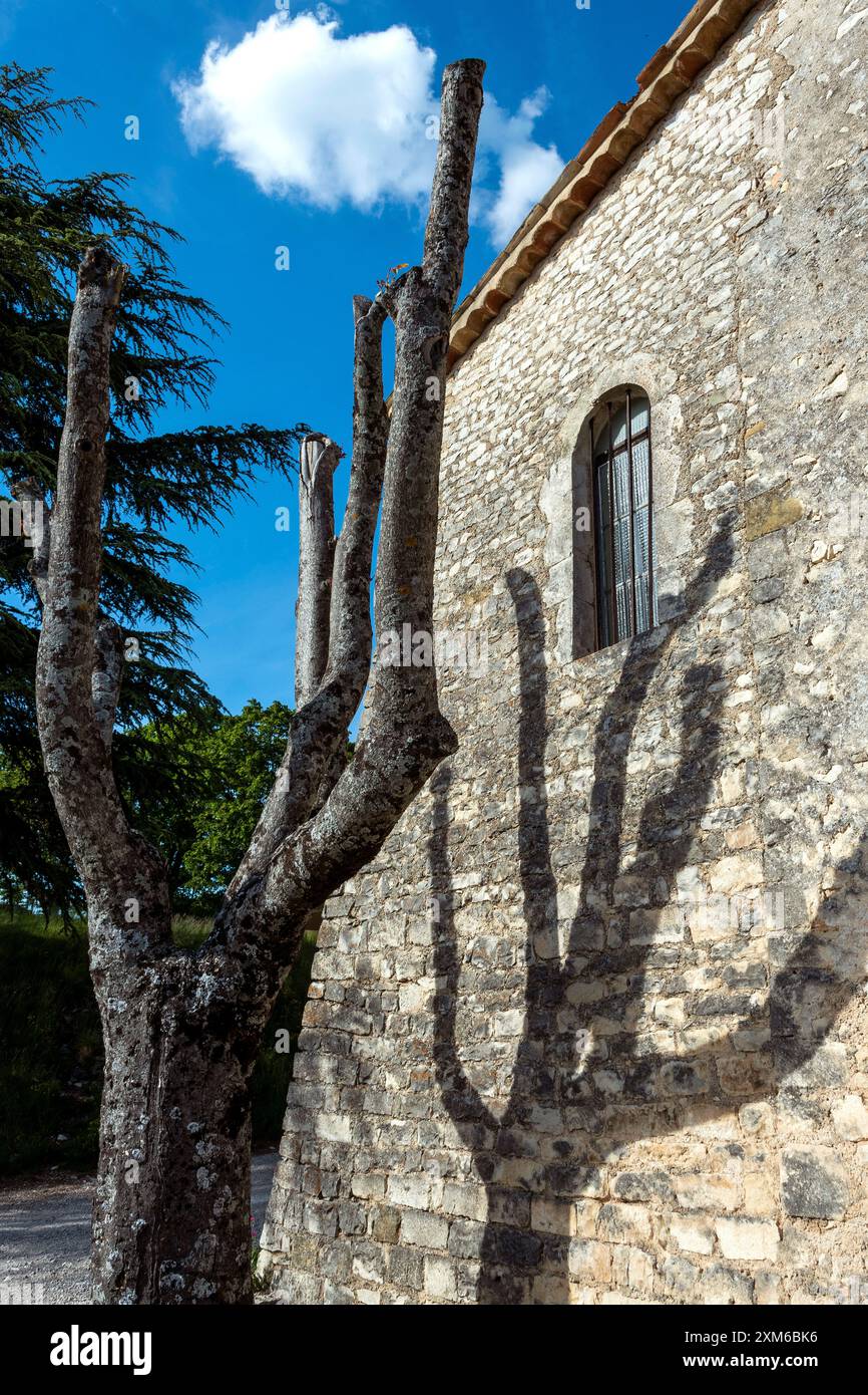 Einzigartiger Baumschatten, Der Gegen Eine Alte Steinmauer Unter Dem Blauen Himmel Gegossen Wird Stockfoto