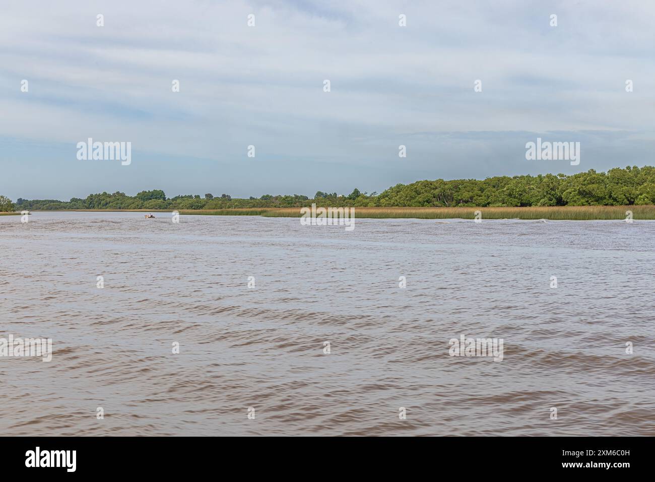 Blick auf den Fluss Tigre nahe seiner Mündung in den Fluss La Plata Stockfoto