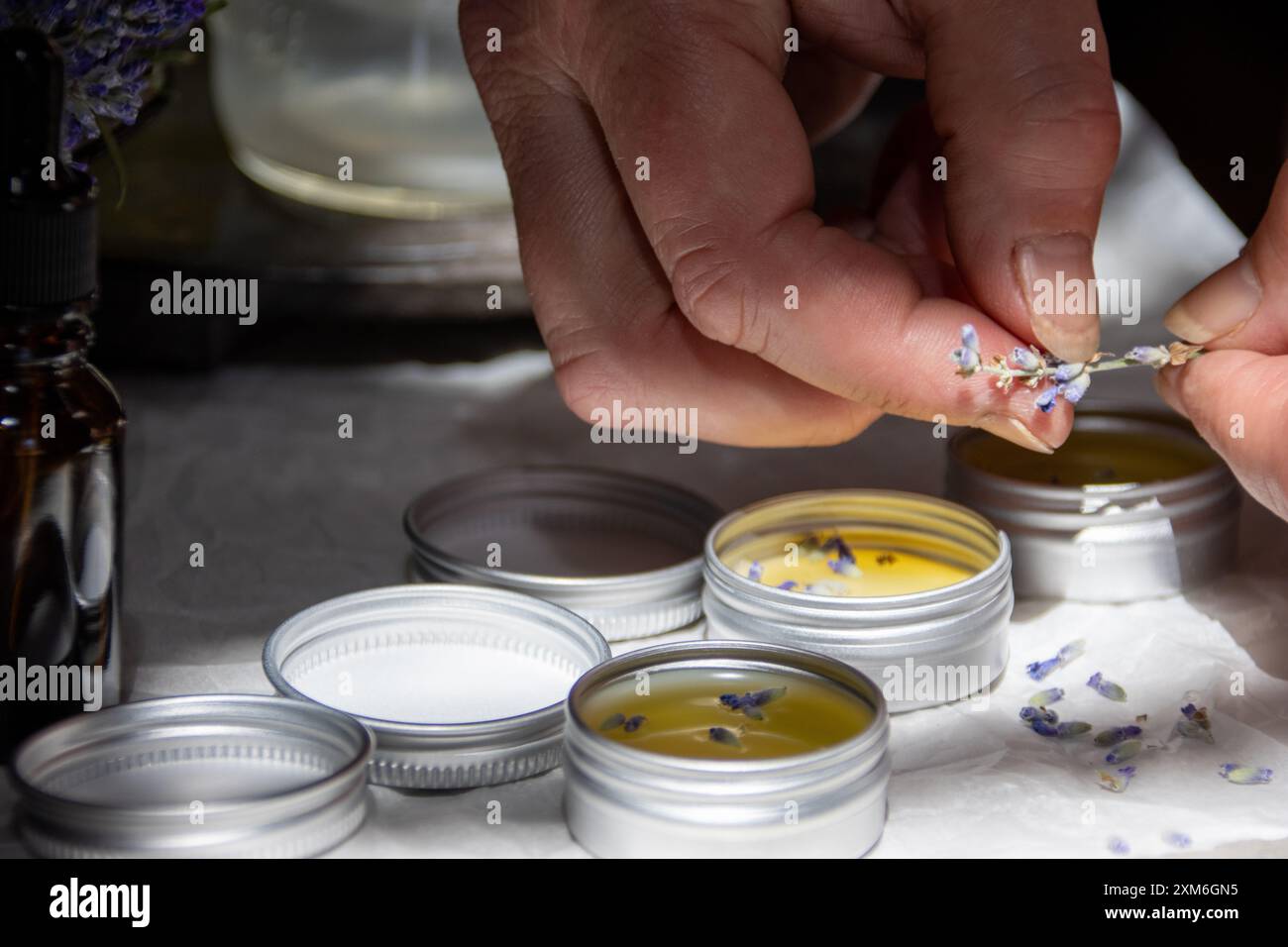 Hände, die Lavendel zu hausgemachten Kräutersalben in Dosen hinzufügen. Stockfoto
