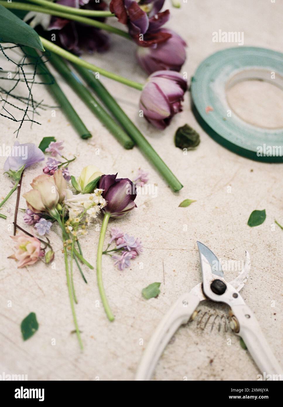 Schneiden Sie Blumen, Blumenband und Beschneider auf einer Tischplatte Stockfoto