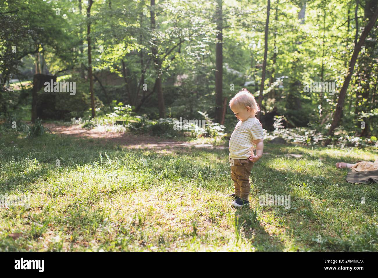 Der Kleinkinder blickt auf das Gras, während die Sonne von hinten hereinströmt Stockfoto