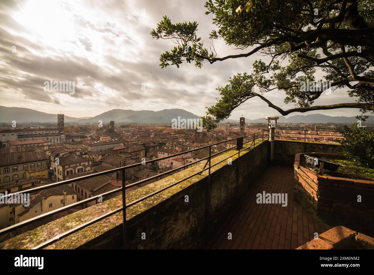 Stadtzentrum von oben gesehen, mittelalterliche Stadt Lucca, Toskana, Italien Stockfoto