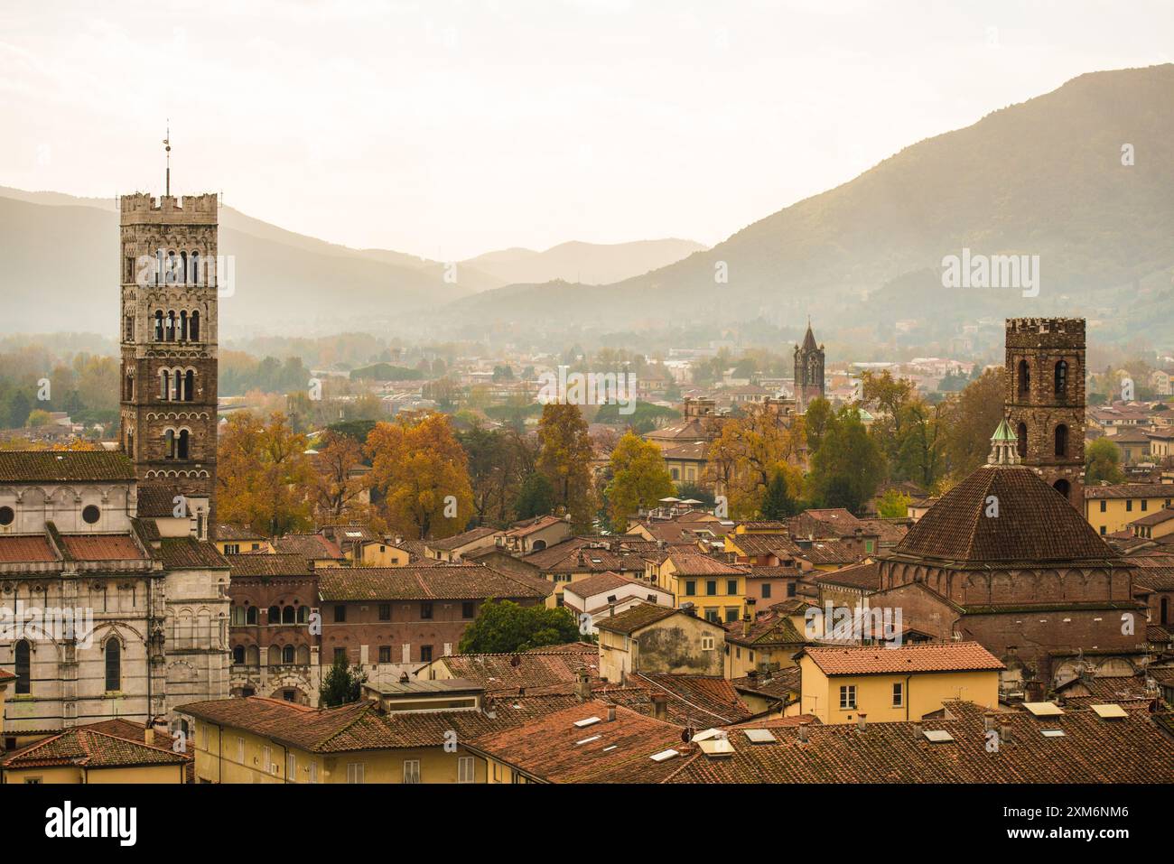 Stadtzentrum von oben gesehen, mittelalterliche Stadt Lucca, Toskana, Italien Stockfoto