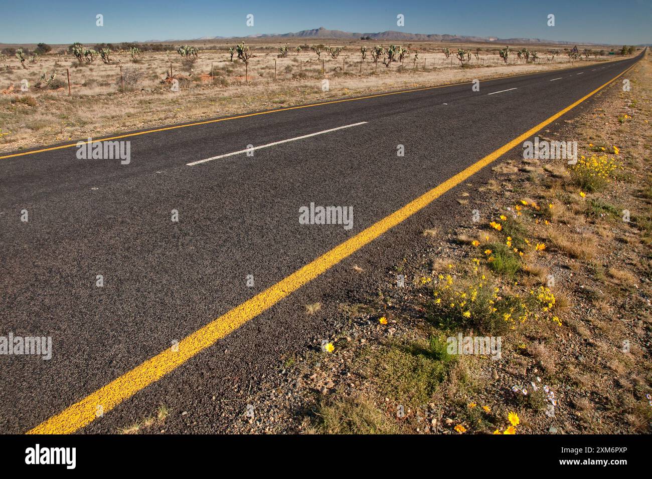 Straße N9 Stockfoto