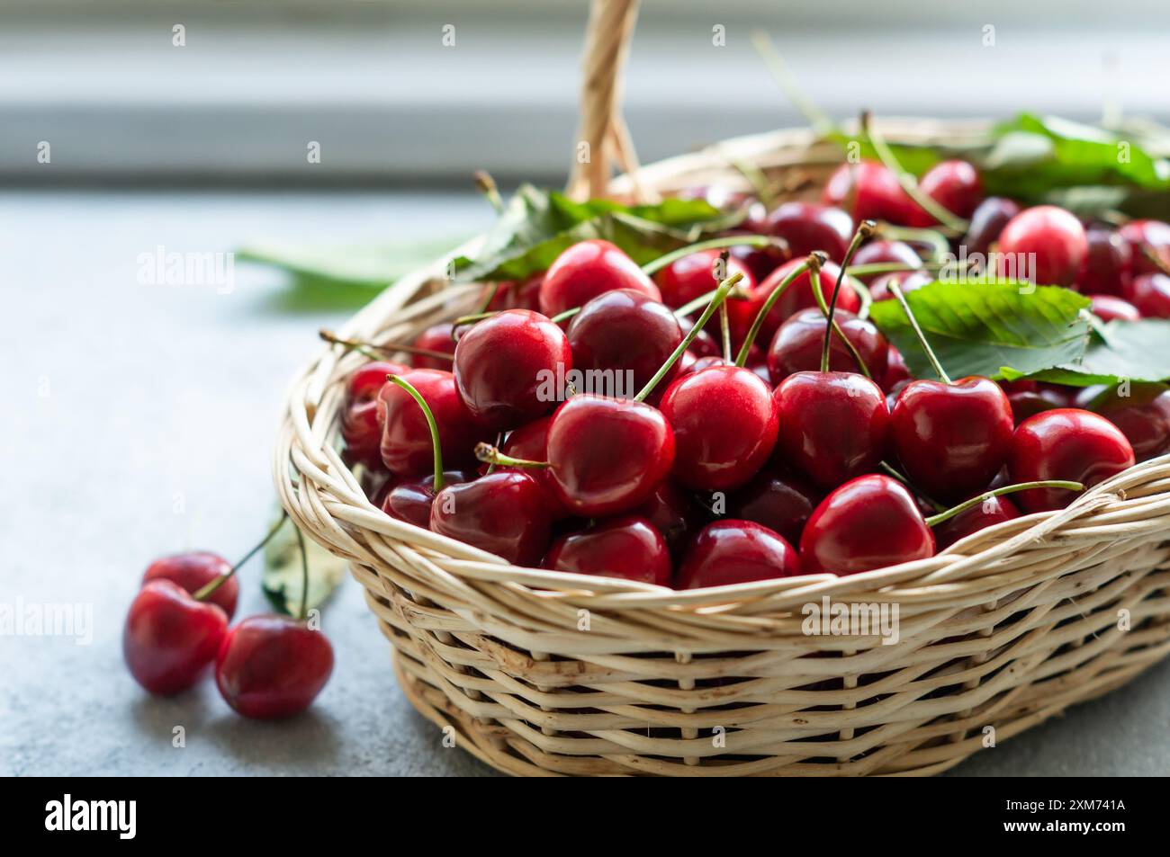 Frische, reife rote Kirschen aus biologischem Anbau in einem Korb, Haufen von Sommerfrüchten Stockfoto