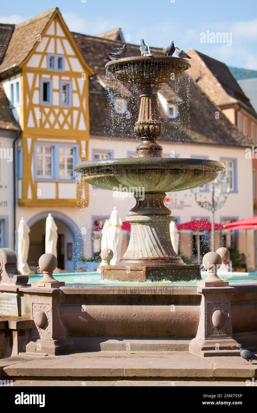 Der Königsbrunnen auf dem Marktplatz Neustadt an der Weinstraße, Rheinland-Pfalz Stockfoto