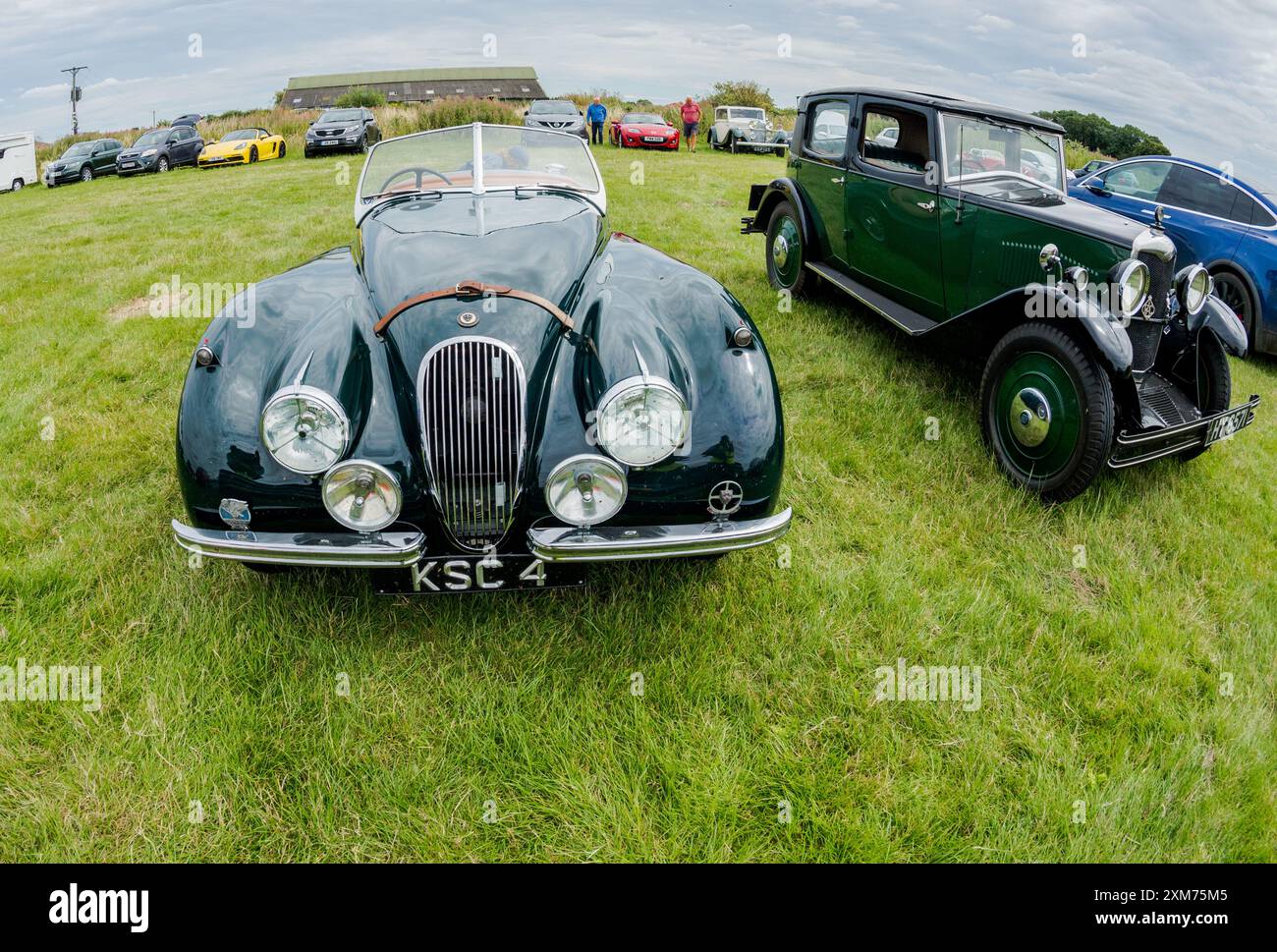 Jaguar XK 120 Roadster in British Racing Green und braunen Ledersitzen, Armaturenbrett. Stockfoto