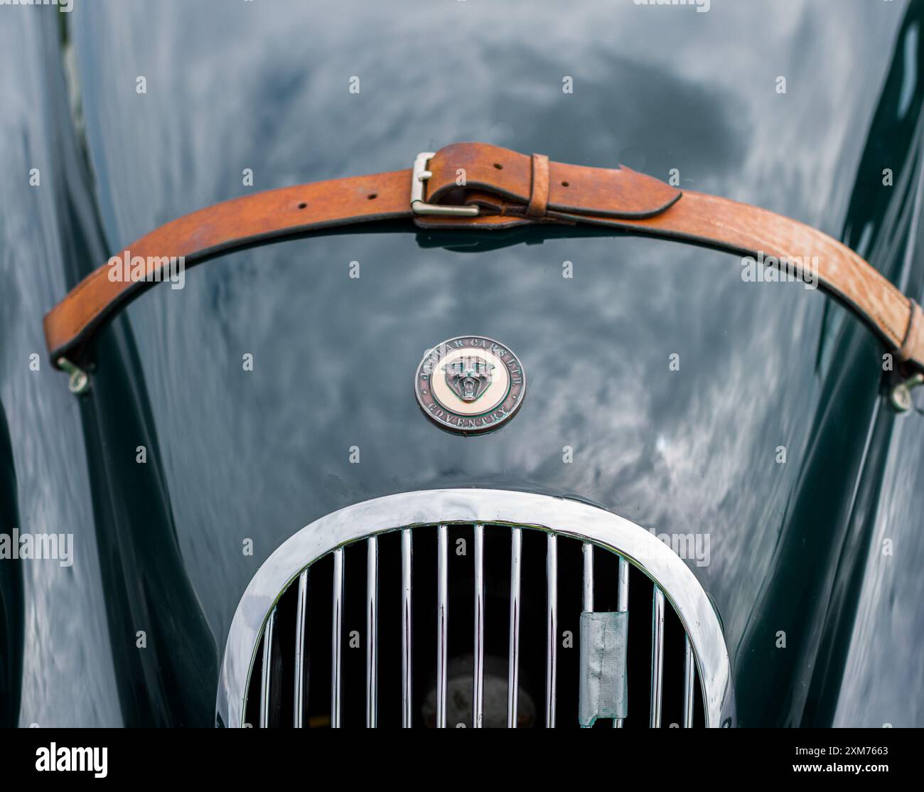 Jaguar XK 120 Roadster in British Racing Green und braunen Ledersitzen, Armaturenbrett. Stockfoto