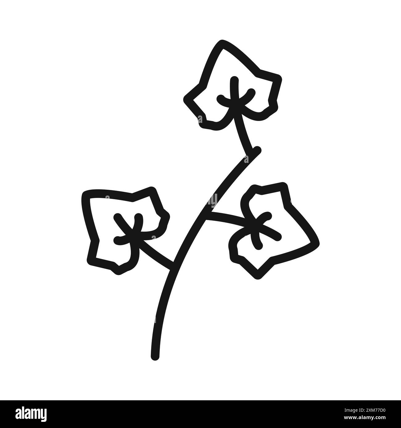 Englische Efeu-Ikone Schwarze Linie Art Vektor in schwarz-weiß Umrisse Set Sammlung Zeichen Stock Vektor Englische Efeu-Ikone Schwarze Linie Art Vektor in schwarz-weiß Umrisse Set Sammlung Zeichen Stock Vektor