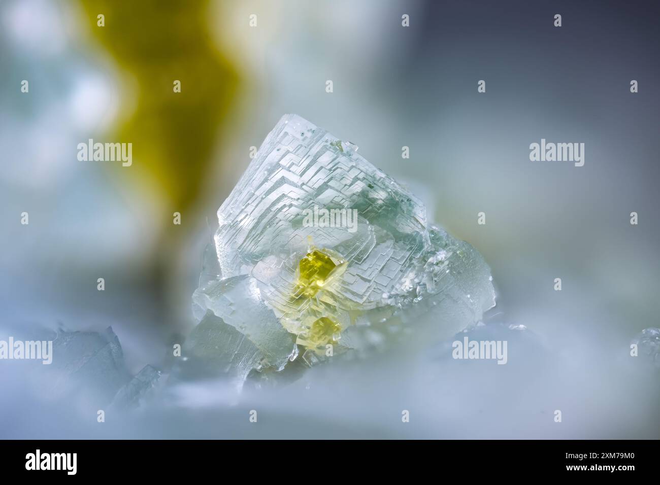 Prehnit-Kristall mit Epidoteneinschluss. Exemplar aus Arvigo, Schweiz. Mikrofotografie extreme Nahaufnahme. Mikroskopfotografie für die Wissenschaft Stockfoto