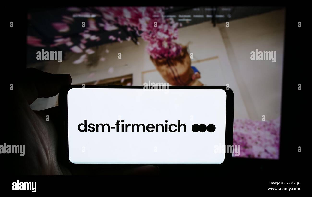 Person mit Mobiltelefon mit Logo des Schweizer Chemieunternehmens DSM-Firmenich AG vor der Business-Website. Schwerpunkt auf dem Display des Telefons. Stockfoto