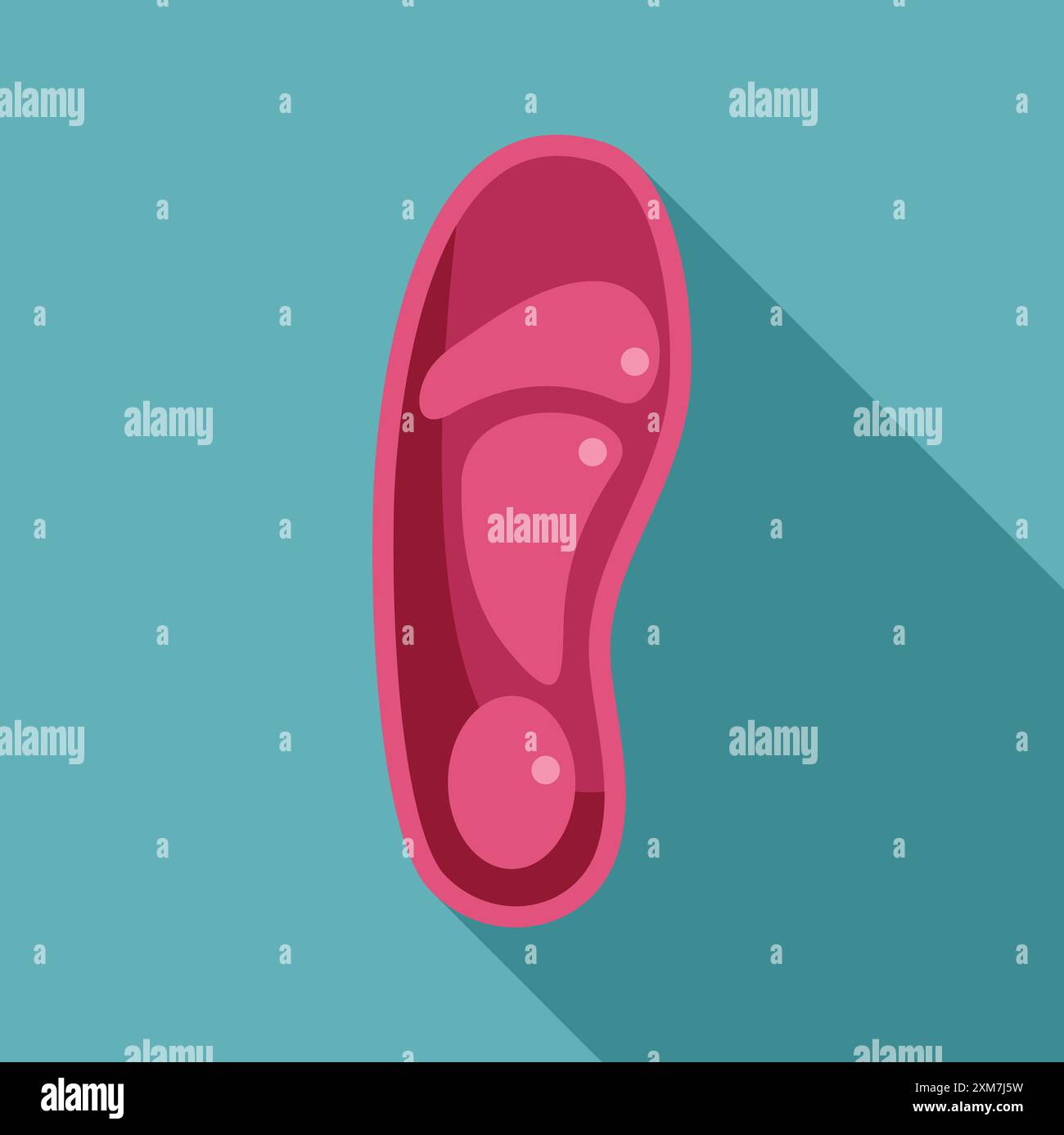 Die Abbildung zeigt die inneren Teile eines menschlichen Ohres, nützlich zur Erklärung von Hörverlust oder auditiven Systemen Stock Vektor