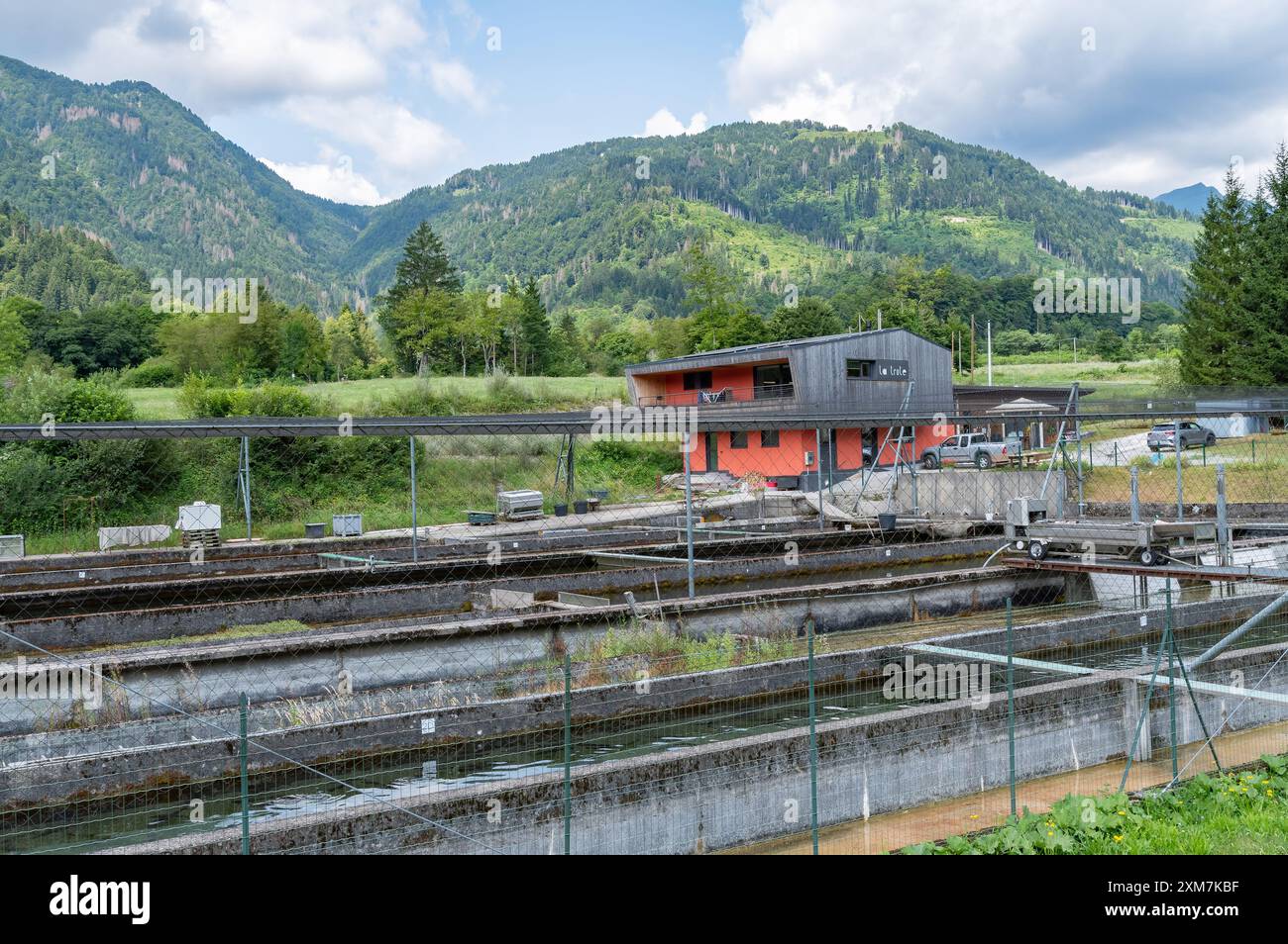 Sutrio, Italien (25. August 2024) - Eine Forellenfarm mit seinen Wassertanks im lokalen Alpental Stockfoto