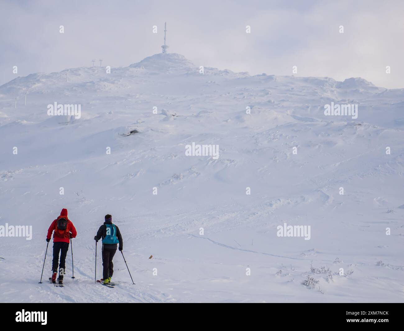 Skitouren - zwei Skifahrer in bunten Jacken klettern auf den Gipfel eines Berges im Skigebiet Narvikfjellet in Narvik. Lappland, Norwegen, Nordeuropa Stockfoto