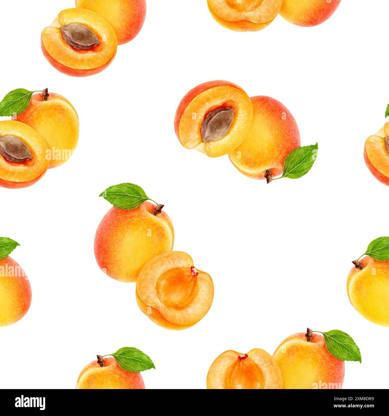 Muster von Aprikosen mit Blättern auf weiß. Ideal für Stoff-, Lebensmittel- und Sommermotive Stockfoto